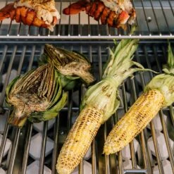 Coyote C-Series Stainless Steel Built-In Gas Grill, 28-Inch (C1C28) 11 Coyote C-Series Stainless Steel Built-In Gas Grill, 28-Inch (C1C28) -Smokey Ridge Grills Shop c1c28 f 07 21