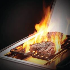 Napoleon RSE425RSIBSS Rogue SE 425 Gas Grill On Cart With Infrared Side And Rear Burners, 23.75-Inches -Smokey Ridge Grills Shop rse625rsibpss feat d 07 20