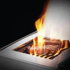 Napoleon RXT525SIBSS Rogue XT 525 Gas Grill On Cart With Infrared Side Burner, 28.75-Inches -Smokey Ridge Grills Shop rxt ss feature 6 01 20