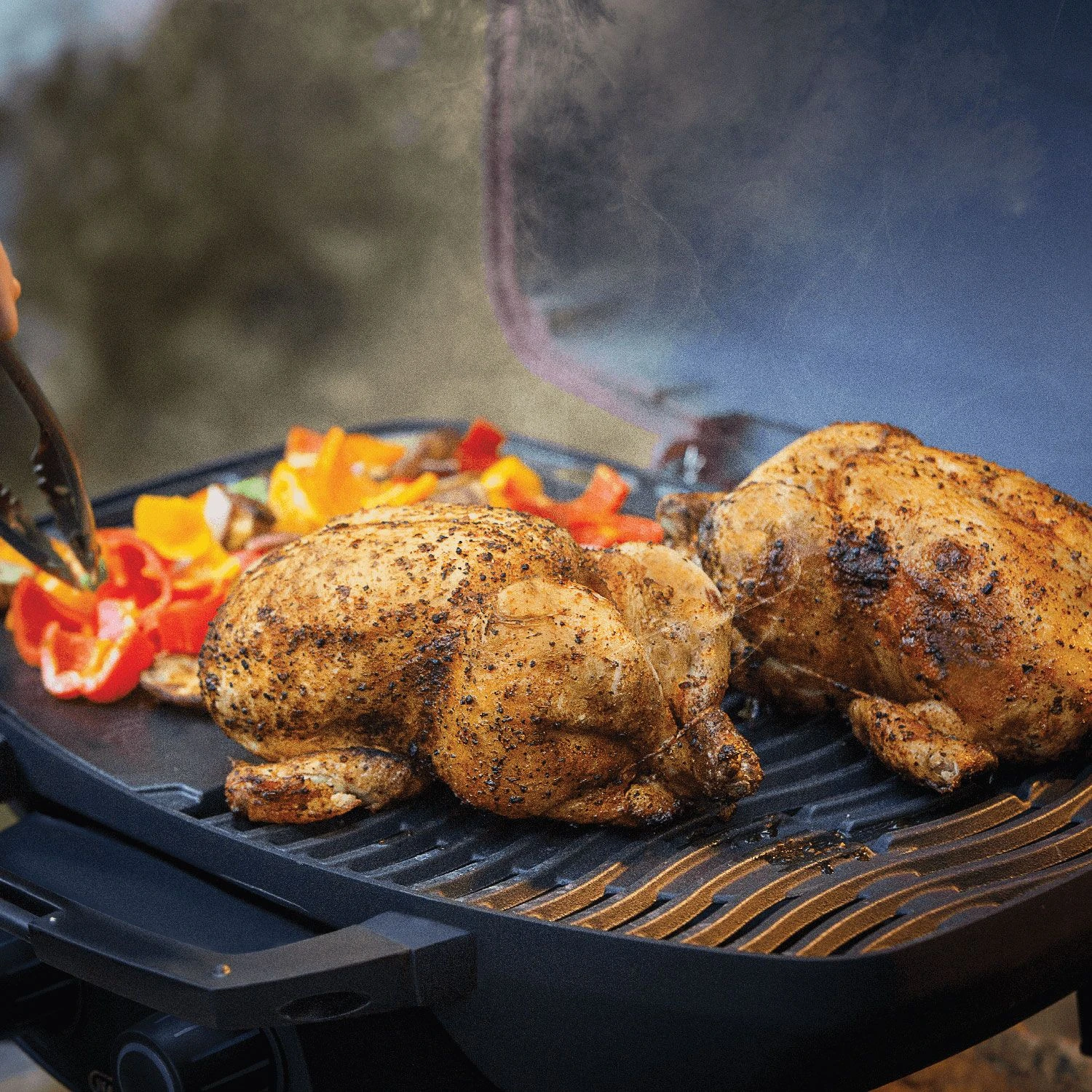 Napoleon TQ285-RD-1-A TravelQ Portable Tabletop Gas Grill, Propane 4 Napoleon TQ285-RD-1-A TravelQ Portable Tabletop Gas Grill, Propane - Image 4