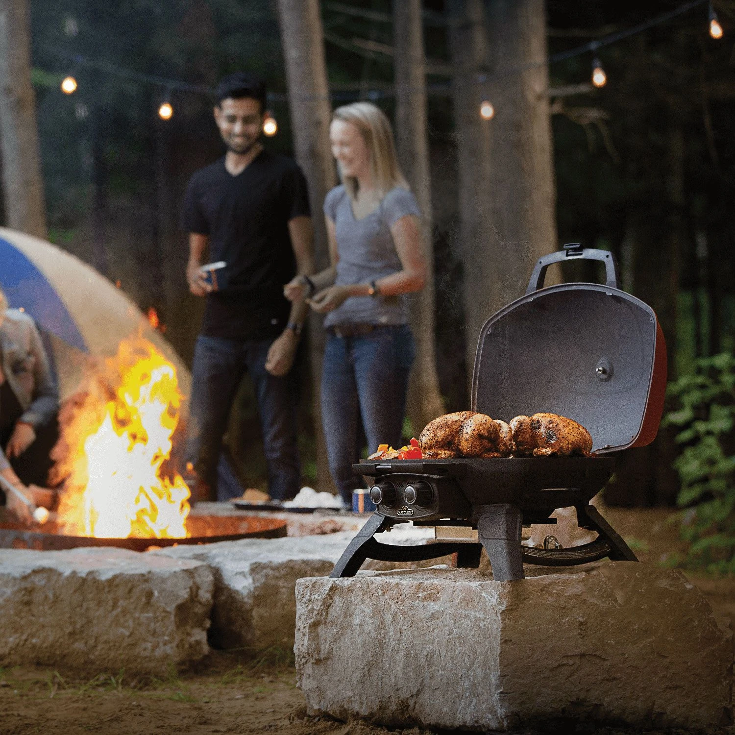 Napoleon TQ285-RD-1-A TravelQ Portable Tabletop Gas Grill, Propane 3 Napoleon TQ285-RD-1-A TravelQ Portable Tabletop Gas Grill, Propane - Image 3