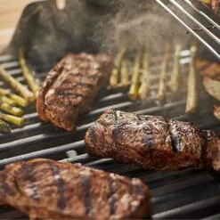 Weber Spirit E-210 2-Burner Freestanding Propane Gas Grill (WEB-46110001) -Smokey Ridge Grills Shop web 46110001 feat a 05 22