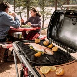 Weber Traveler Portable Propane Gas Grill With Side Table -Smokey Ridge Grills Shop web 9010001 c 05 22